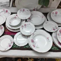 سرویس کمیاب و زیبای گل میخک|ظروف سرو و پذیرایی|ری, حمزه‌آباد|دیوار