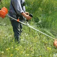 سم پاشی شخم زنی علف زنی وچاله کنی وچاله ستون فنس|خدمات باغبانی و درختکاری|مشکین‌دشت, |دیوار