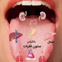 اموزش علم زیبای زبانشناسی و مزاج شناسی