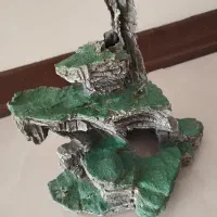 سخره آکواریم بدون شکستگی سالم