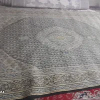 فرش|فرش|گنبد کاووس, |دیوار