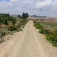 مزرعه بادام کشاورزی پرورش ماهی|فروش دفتر صنعتی، کشاورزی، تجاری|خوانسار, |دیوار