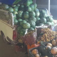 پیکان وانت ۸۶|خودرو سواری و وانت|محمدیه-قزوین, |دیوار