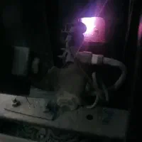 بخاری سالم|بخاری، هیتر، شومینه|آران و بیدگل, |دیوار