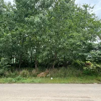 ۷۰۰ متر زمین سیاه اسطلخ برِ جاده|فروش زمین و ملک کلنگی|رشت, سیا اسطلخ|دیوار