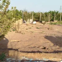 زمین سندتک برگ روبروی شهرک خانه|فروش زمین و ملک کلنگی|رباطکریم, الارد|دیوار