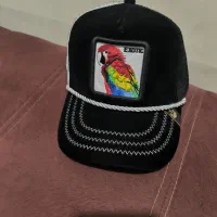 کلاه کپ گورین طوطی