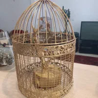 قفس دست ساز پرنده