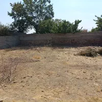 باغ باغچه زمین شهرک خور|فروش زمین و ملک کلنگی|هشتگرد, خور|دیوار