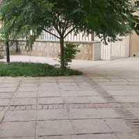 مربی کلاس های تابستانه