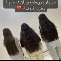 خریدار اصلی مو بدون واسطه مستقیم خام رنگی