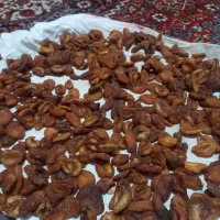 زرد آلو خشک ارگانیک بدون دارو با طعم بی نظیر|خوردنی و آشامیدنی|ماکو, |دیوار