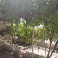 خانه-ویلایی-داخل-بافت