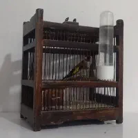 سهره شش دانگ جفتی