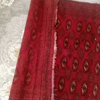 قالی چه دست باف|فرش|مشهد, توس (بلوار توس)|دیوار