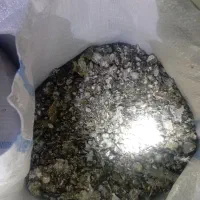 فضله کفتر