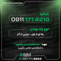 مرجع تخصصی شماره رند (عباسی سیم)