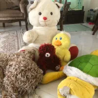 عروسک خرس سگ بزرگ