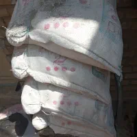 گچ خوزستان بارز