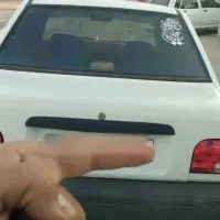 پپراید ۸۷ سالم وپلمپ