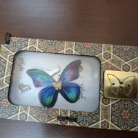 پلاک پروانه کادویی طلا شیک قیمت مناسب