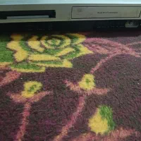 یک عدد دستگاه DVD