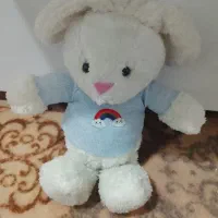 دوتا عروسک نو نو