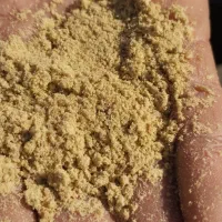 سبوس برنج یا کپک