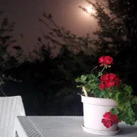 کریمخان  کافه فعال در لوکیشن درجه یک منطقه|اجارهٔ خانه و ویلا|تهران, ایرانشهر|دیوار