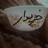 آرکوپال مدل جاسنت|ظروف سرو و پذیرایی|اسلام‌شهر, شهرک مهدیه|دیوار