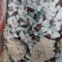 آکواریوم آماده به کار|ماهی|شیراز, نیستان|دیوار