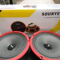 یک جفت میدرنج ۸