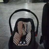 کریر نوزادی دلیجان