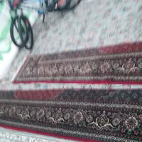 فرش ریز ماهی|فرش|بروجرد, |دیوار