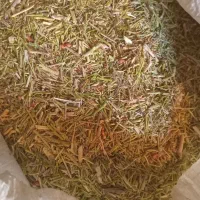 کاه و خار شتر