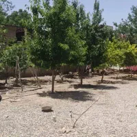 زمین و‌خونه