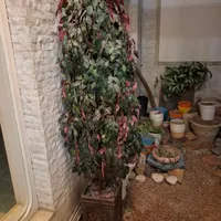 گلدان بزرگ با گیاه مصنوعی|گل مصنوعی|اصفهان, باغ دریاچه|دیوار