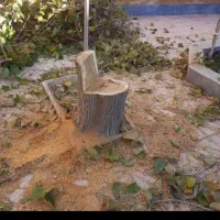 خریدوفروش انواعچوب