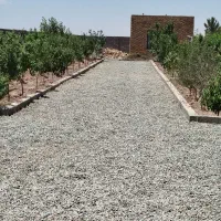 باغچه-660-متری