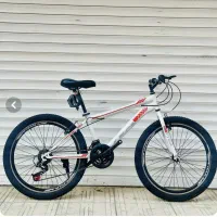 دوچرخه24.26 فلامینگو