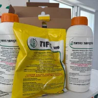 بذر نخود فرنگی اتریلو ترکیه ایتالیا|خدمات باغبانی و درختکاری|گنبد کاووس, |دیوار