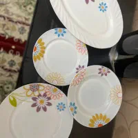 ظروف ارکوپال
