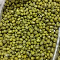 نخود و ماش|خوردنی و آشامیدنی|جلین, |دیوار