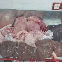 سرای کباب زاگرس|خوردنی و آشامیدنی|اندیمشک, |دیوار