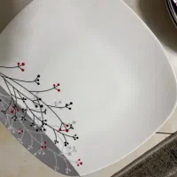 ست چینی لوکس رزین|ظروف سرو و پذیرایی|تهران, دهقان|دیوار