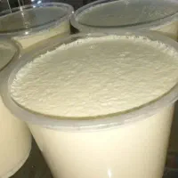 لبنیات ماست و شیر