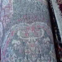 دو عدد فرش ماشینی ابریشم رخ مشهد|فرش|خوی, |دیوار