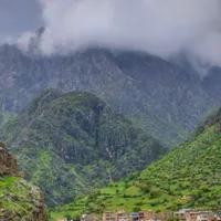 راهنمایی افسردگی