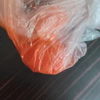 پلاک و زنجیرگردبند|بدلیجات|نهبندان, |دیوار