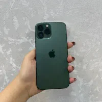 ۱۳پرومکس رنگ دلار